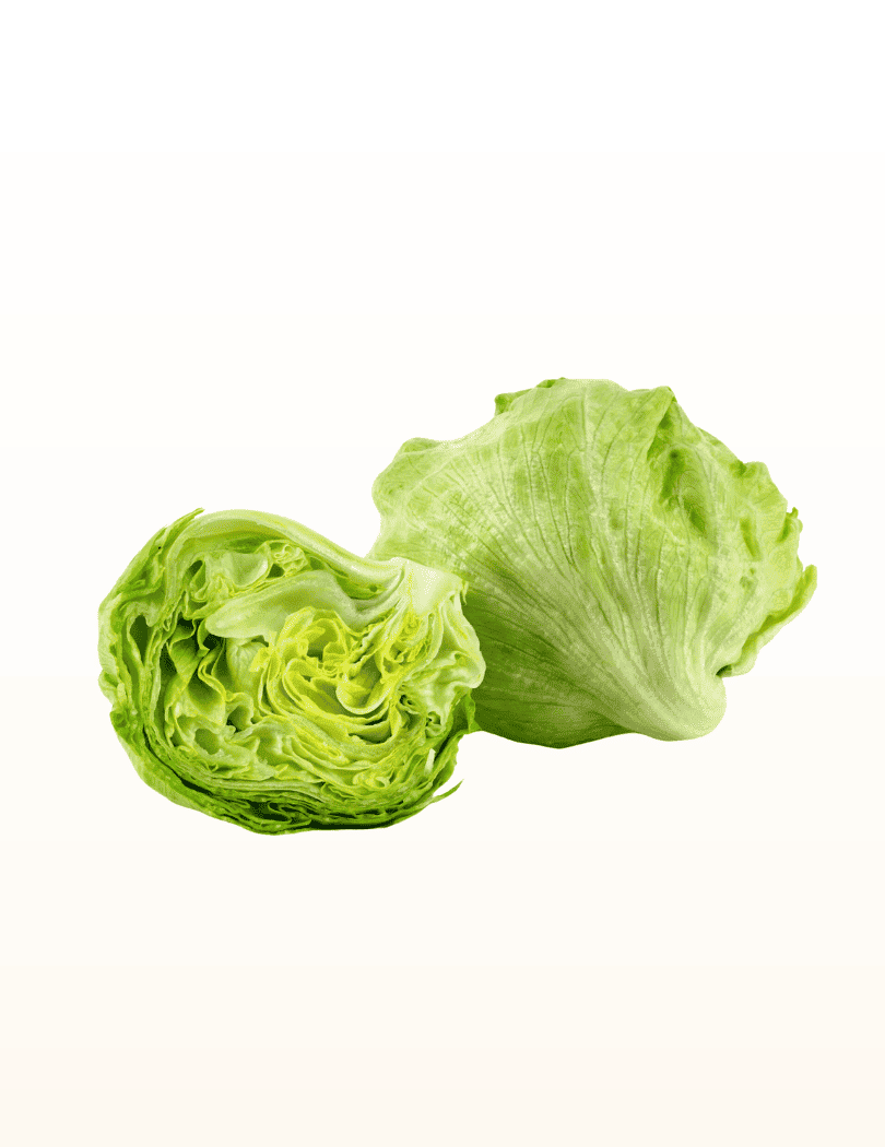 Iceberg