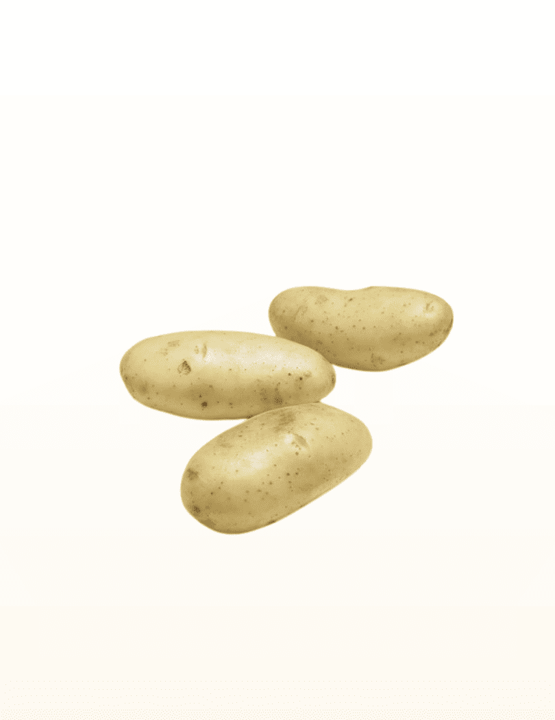 Pomme de terre Spunta