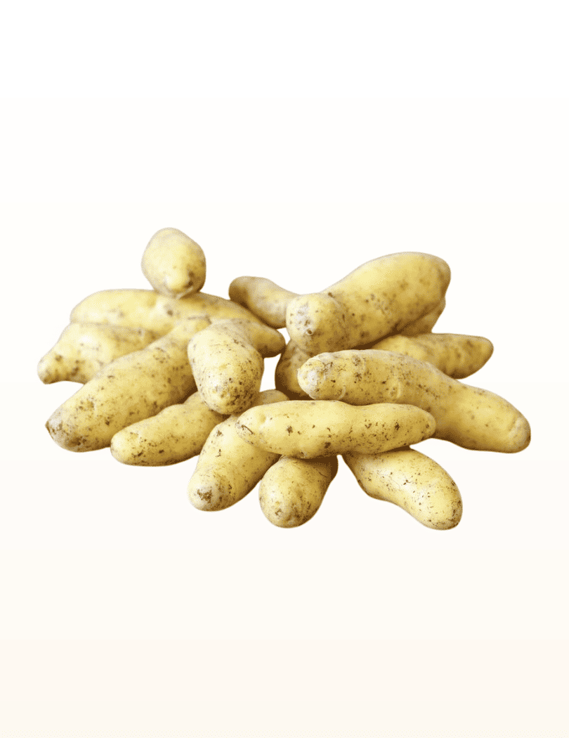 Pomme de terre Rate